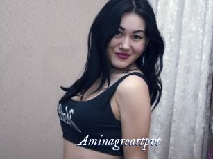 Aminagreattpvt