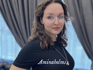 Aminaholms