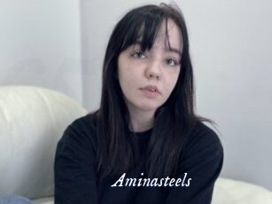 Aminasteels
