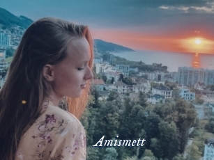Amismett