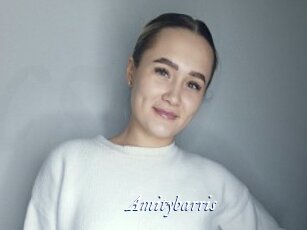 Amitybarris