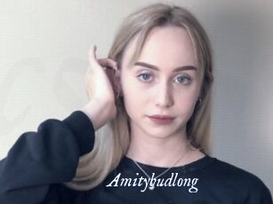 Amitybudlong