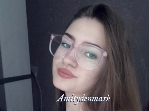 amitydenmark Cam 5