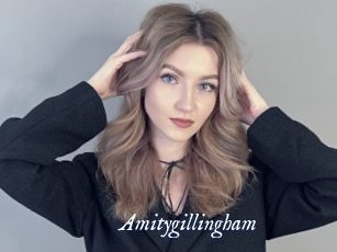 Amitygillingham