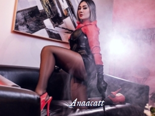 Anaacatt