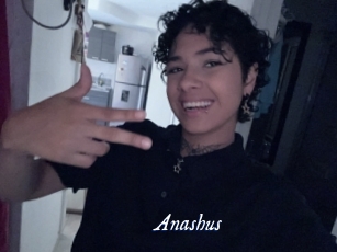 Anashus