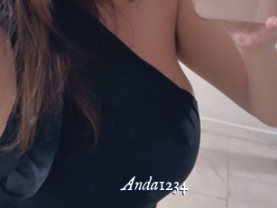 Anda1234