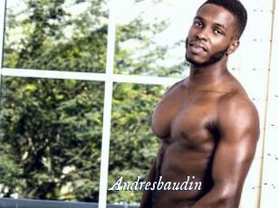 Andresbaudin
