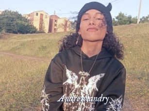 andrewlandry Cam 5