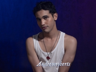 andrewroberts Cam 5
