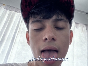 Andreyestebancam