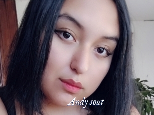Andy_sout