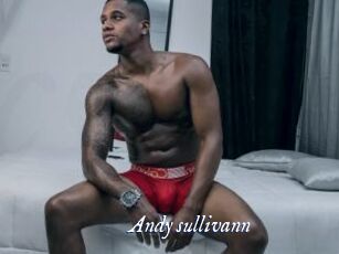 Andy_sullivann