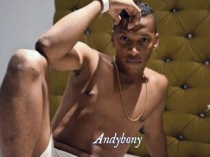 Andybony