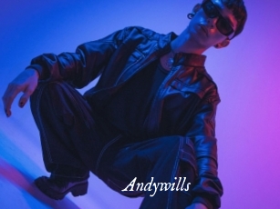 andywills Cam 5