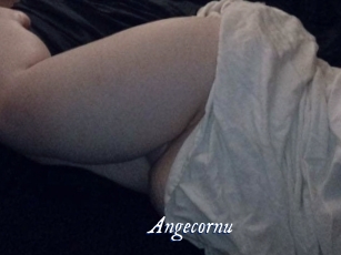 angecornu Cam 5