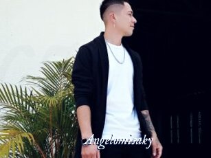 Angelomisaky