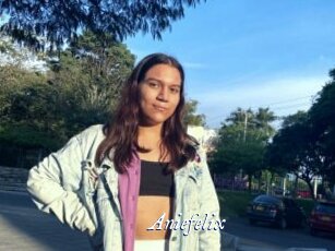 Aniefelix