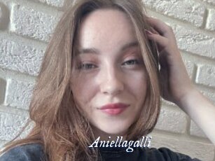 Aniellagalli