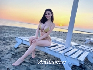Anisiacorner