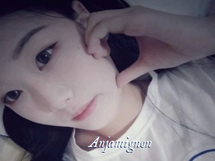 Anjamignon