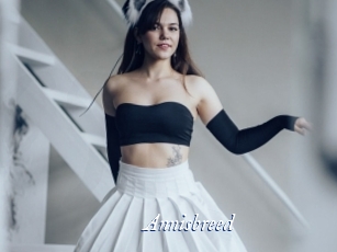 annisbreed Cam 5