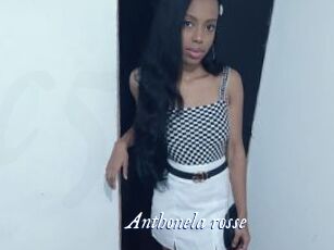 Anthonela_rosse