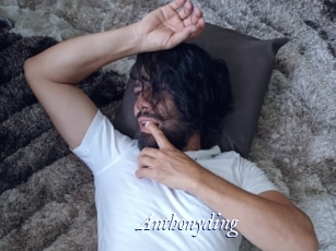 anthonyding Cam 5