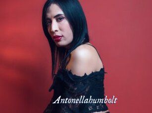 Antonellahumbolt