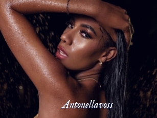 antonellavoss Cam 5
