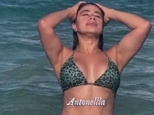 Antonellla
