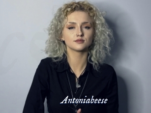 Antoniabeese