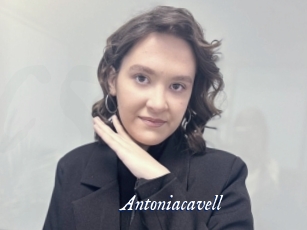 Antoniacavell
