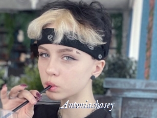 Antoniachasey