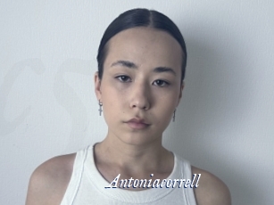 Antoniacorrell