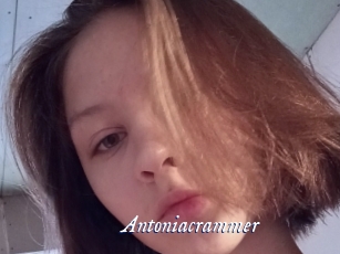 Antoniacrammer