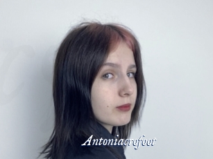 Antoniacrofoot