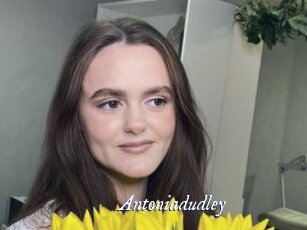 Antoniadudley
