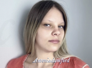 Antoniadumford