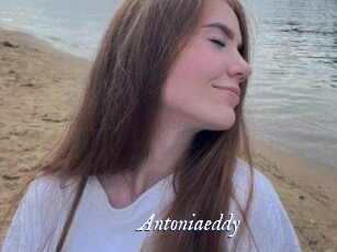 Antoniaeddy