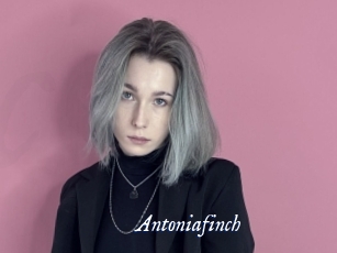 Antoniafinch