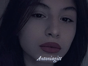 Antoniagitt