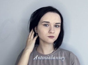 Antoniahanney