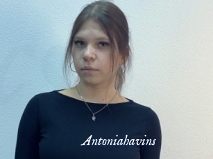 Antoniahavins