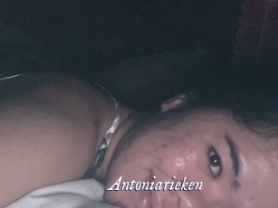 Antoniarieken