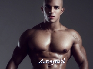 Antonywebb