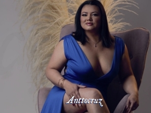 Anttocruz