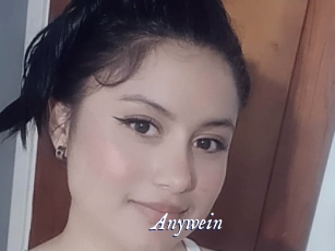 anywein Cam 5