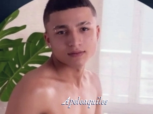 apoloaquiles Cam 5