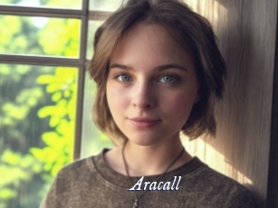 aracall Cam 5